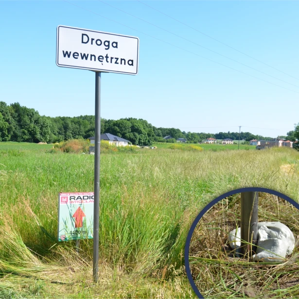 Zastosowanie masy Quikset w montażu znaków drogowych.webp